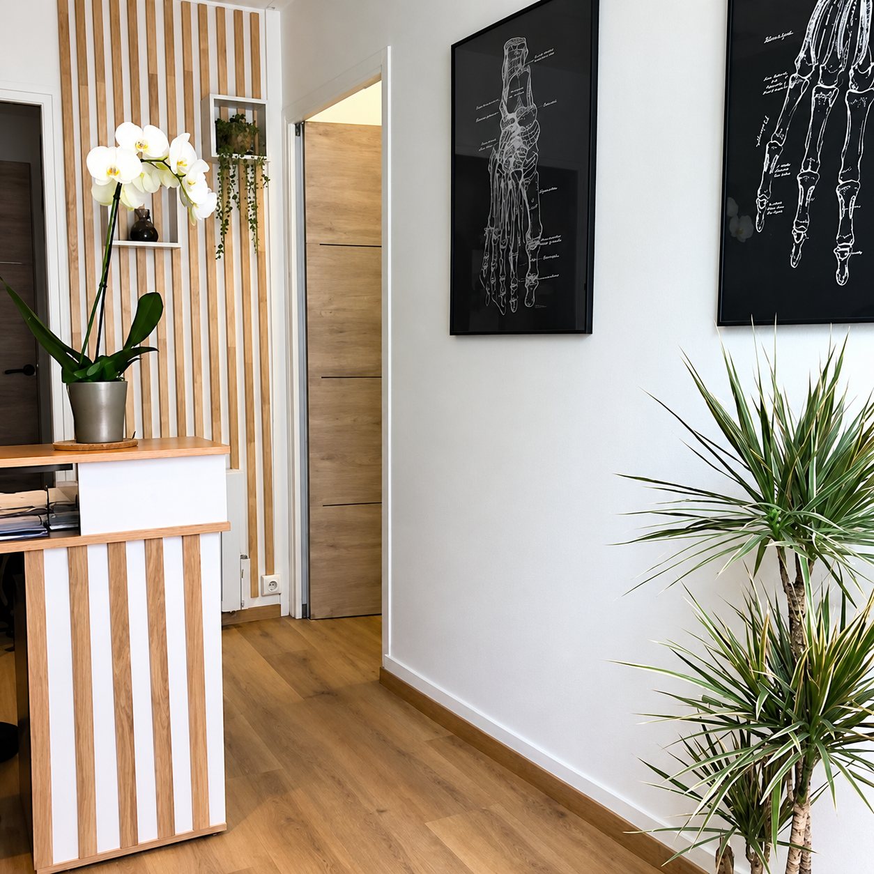 Entrée d'un cabinet aux murs clairs avec un comptoir d'accueil à lattes de bois, une orchidée blanche, un dracaena et des affiches anatomiques de pied et de main au mur.